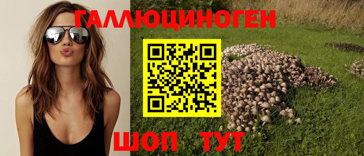 Псилоцибиновые грибы GOLDEN TEACHER Мегион