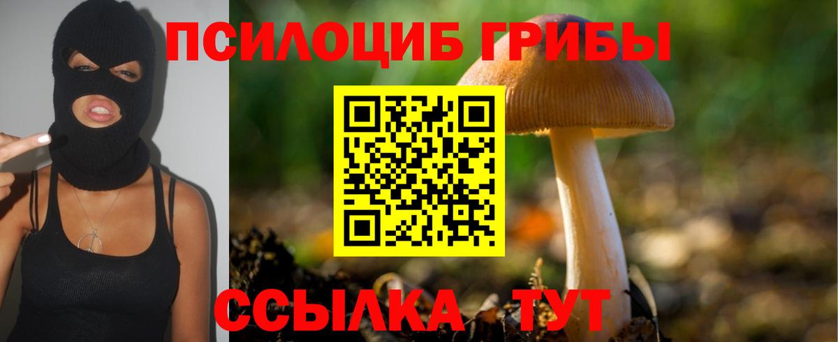 Мегион  Псилоцибиновые грибы прущие грибы  где найти наркотики  Вход с VPN  Галлюциногенные грибы Psilocybine cubensis 
